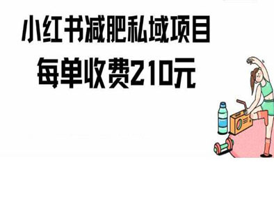 小红书减肥私域项目每单收费210元